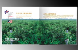 賽尚品牌設(shè)計 河南鄭州專業(yè)品牌策劃與軟件開發(fā)服務(wù)